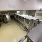 Mecatherm D2500 frozen baguette line 5