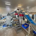 Teigbandlinie Fritsch Ulma Scheffus 9