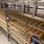 König/Opelka Donut und Berlineranlage - 0730.0012 - 23