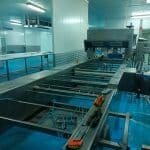 Bakon Línea de producción de pasteles. Redondos y cuadrados. - 9000.0011 - 21